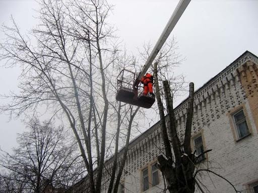 Фото процесса обрезки деревьев с автовышки